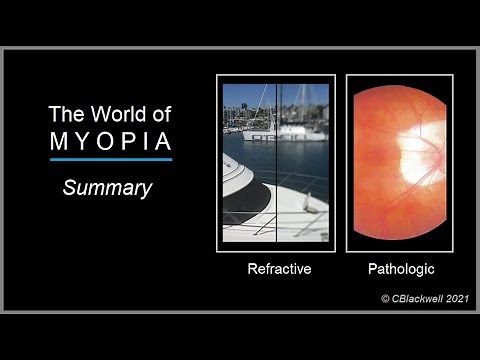 Myopia 6. Summary: World of Myopia
