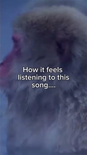 Bo2 zombies music 😌 #nostalgia #music #blackops