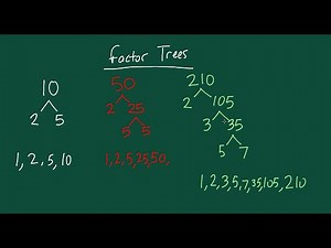 How to Make a Factor Tree - Example 1