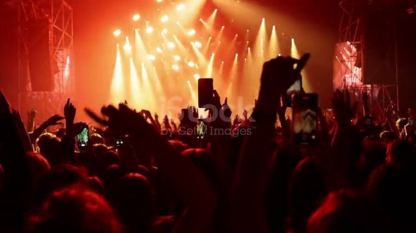 Euphoric people dancing on the dance floor during a concert at a...