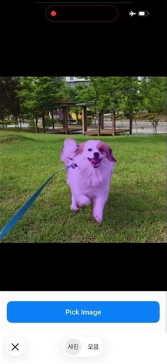 DeepLabV3-SAM iPhone on-device Demo