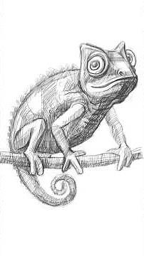 How to Draw a Cute Chameleon 🦎 | Easy Step-by-Step Animal Drawing