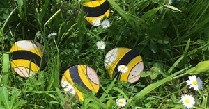 INSPIRATIONS - Bees - Activities