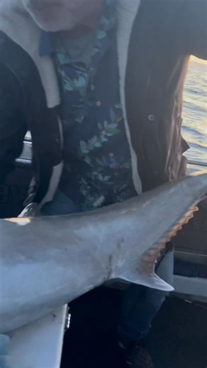 37K views · 571 reactions | Sambo yiiiiphaaaaa | Matthew Hunt Fishing Services Portland | Facebook