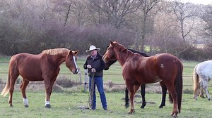 12K views · 166 reactions | NOUVELLE VIDÉO GRATUITE : [BIEN EDUQUER]...