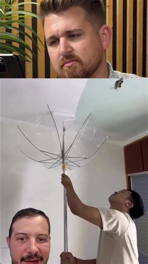 When You're Painting a Ceiling are you using a Painters Drop Cloth or Umbrella?