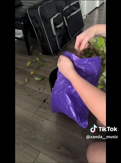 Honoring Lola: A Plant Storytime Tribute