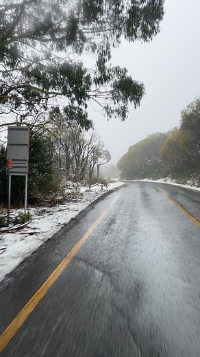 No chains required today ( Sat 19 Aug). This is the current road conditions, please drive safely. Snow line from Arnold’s gap. | Lake Mountain Alpine Resort