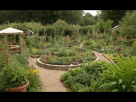 Permaculture Principles: Creating Self-Sustaining Gardens