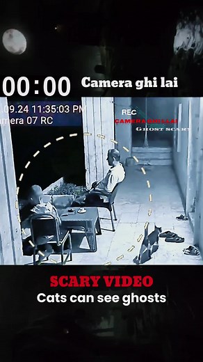 camera ghi lại trên TikTok