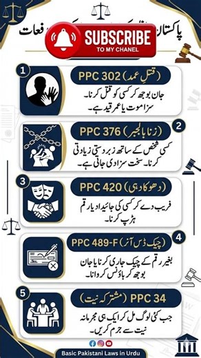 Pakistan Penal Code (PPC) Important Sections Explained in Urdu | PPC 302, 376, 420, 489-F, 34