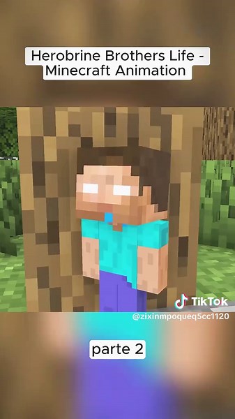 Herobrine Brothers: A Minecraft Animated Adventure