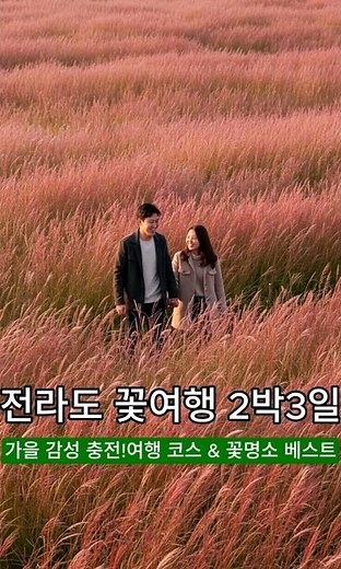 가을 감성 충전! 10월 전라도 2박3일 여행 코스 & 꽃명소 베스트