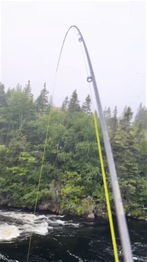 Newfoundland Atlantic Salmon Fishing