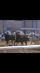 Photo Credit: Coady Media | Sunland Park Racetrack & Casino