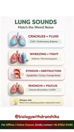 Listen closely—lungs speak before symptoms do.🫁 #lungs #sounds #clinicalskills #nursingnotes #neet