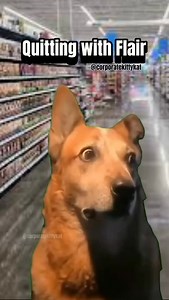 601K views · 48K reactions |  Beth was outta there! #coworkers #workhumor #walmart #iquit #retaillife #worklife #retail | Corporate Kitty Kat | Facebook