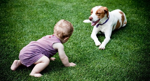 When (and how) to let your baby meet the family dog