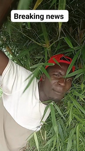 6.4K reactions · 59 shares | #prince Princess Milly #actressbrenda | Bosco Toger | Facebook