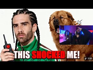 Hasan Piker Song Shock My Dog I Can't Stop - Metatron reaction
