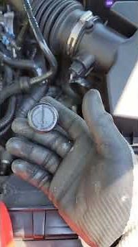 How to check and fill 2013-2020 Ford Fusion Transmission