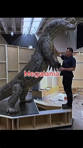 Did These Extinct Animals Live in YOUR Country? #prehistoric #megalodon #sabertoothtiger