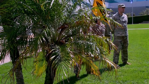 SSC SYD 89 Activation B-Roll