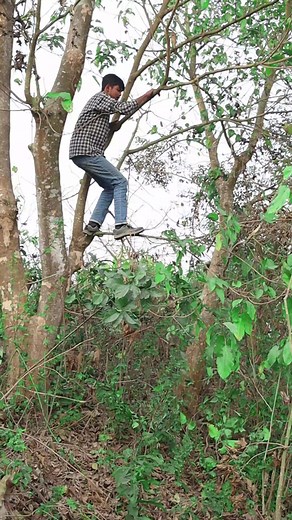 Lost in mysterious forest || Part - 2 #robiulexperiment | Robiul Experiment