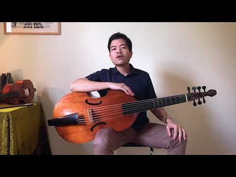 Introducing the Instruments: solo music for bass viol