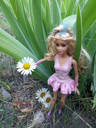 Barbie fairytopia elina doll 2005