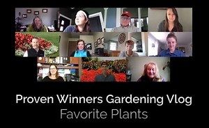 As you might guess, asking us to name a favorite plant is a tough question! | Proven Winners