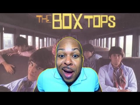 The Box Tops - The Letter (First Time Reaction) Oh!!! Yeah!!! 🕺🕺🕺