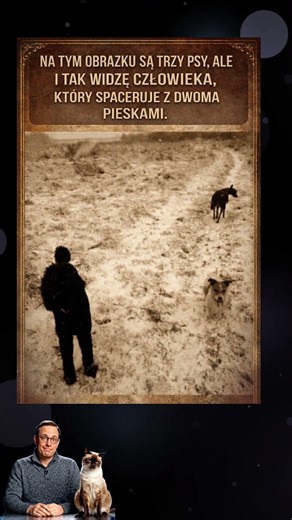 Na tym zdjęciu są 3 psy… ale tego nie widać od razu 🐕