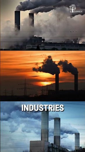 Inside a biomass boiler in operation