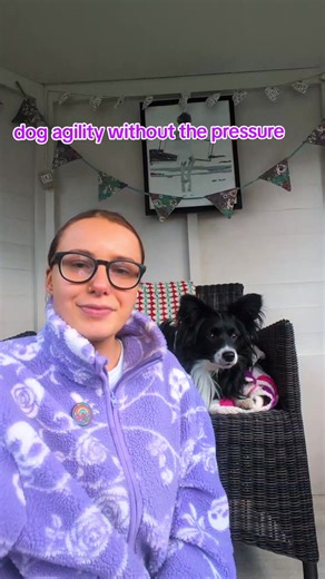Agility Dog Training: Restarting Our Journey Together