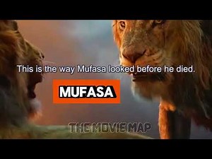 Simba (2024) Movie Explained | Action Thriller Recap & Ending Breakdown!