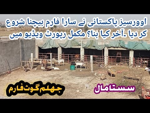 Goat farm for sale