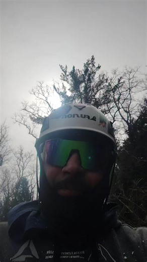 arbor_work_tree_service7 (@arbor_work_tree_service7)’s videos with sonido original - arbor_work_tree_service7