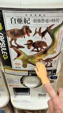 Dinosaur, Chameleon and Gecko Gashapons!#gachapon #gashapon #dinosaur #gecko #ガチャガチャ