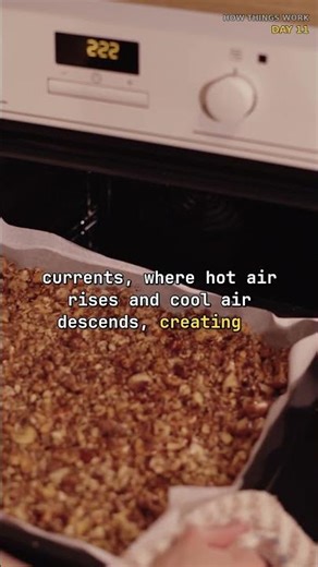 How Your Oven Actually Bakes #oven #Shorts