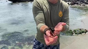 21K views · 781 reactions | This is where I grew up. Always feel so great to be back home. #octopus #Centralcoast #shipwreck I may not have been born in Texas but I got there as fast as I could. | Tim Kennedy | Facebook