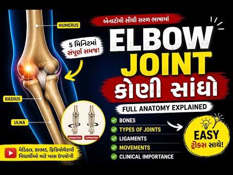 Complete Elbow Joint Anatomy | Bones, Muscles, Ligaments & Movements