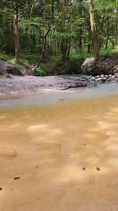 206K views · 2.7K reactions | Peaceful walk in a Florida Spring fed creek✌️ | Florida Panhandle Springs and Fossils | Facebook