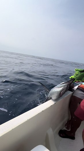 Sailfish Fishing Adventure in Puerto Escondido