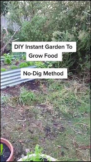 How To Create An Inexpensive & Productive Instant Garden #gardening101 #ggthegardengirl #growfood #garden #plants