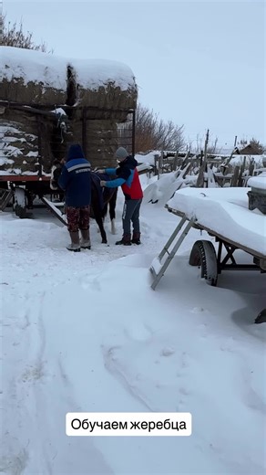 #fyp #rustam #urazalin_rustam_blog