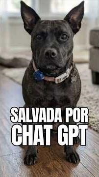 Engineer uses AI to cure his dog's cancer