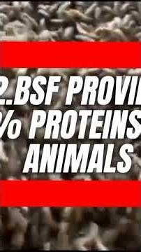 FINALLY! I Revealed This Top Secret ABOUT BSF FARMING!