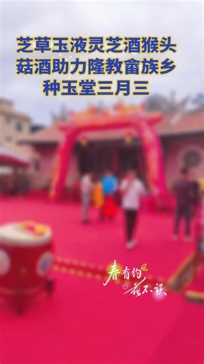 芝草玉液灵芝酒猴头菇酒助力隆教畲族乡种玉堂三月三