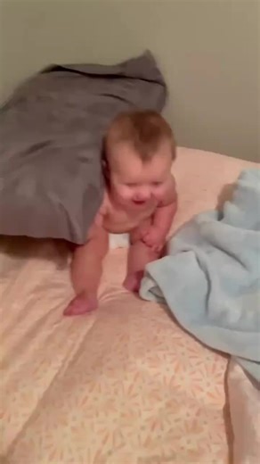 Examining the Rise of AI Technology in Everyday Life